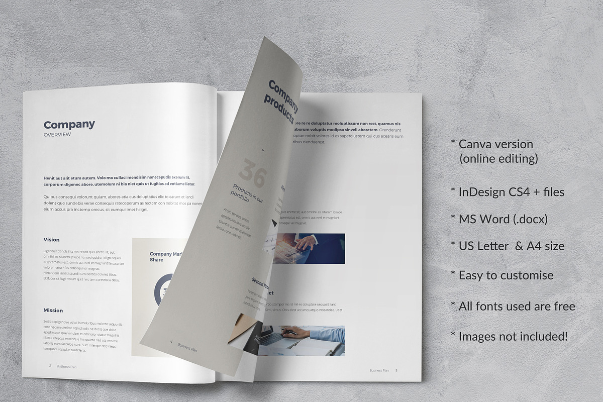 Canva Business Plan, a Brochure Template by Sabin (Photo 2 of 6)