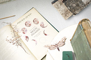 ETERNAL SUMMER, an Object Illustration by Eisfrei (Thumbnail 6 of 6)