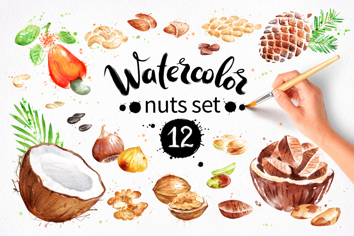Nuts Watercolor Collection, an Object Graphic by Sonya Illustrations (Photo 1 of 4)