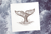 Whales Sketch Illustrations, an Animal Illustration by alexrockheart (Thumbnail 5 of 5)