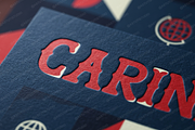 CarinaZ | Elegant Modern Serif, a Serif Font by Astuti Studio (Thumbnail 21 of 25)