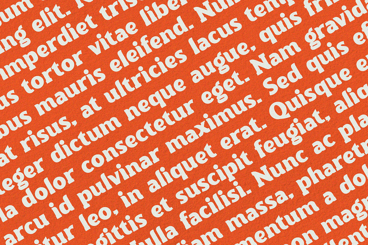Torque - Serif Font, a Serif Font by Alpaprana (Photo 4 of 10)