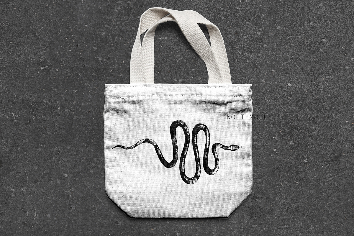 Snakes vector set, a Graphic by Noli Molly Store (Photo 3 of 5)
