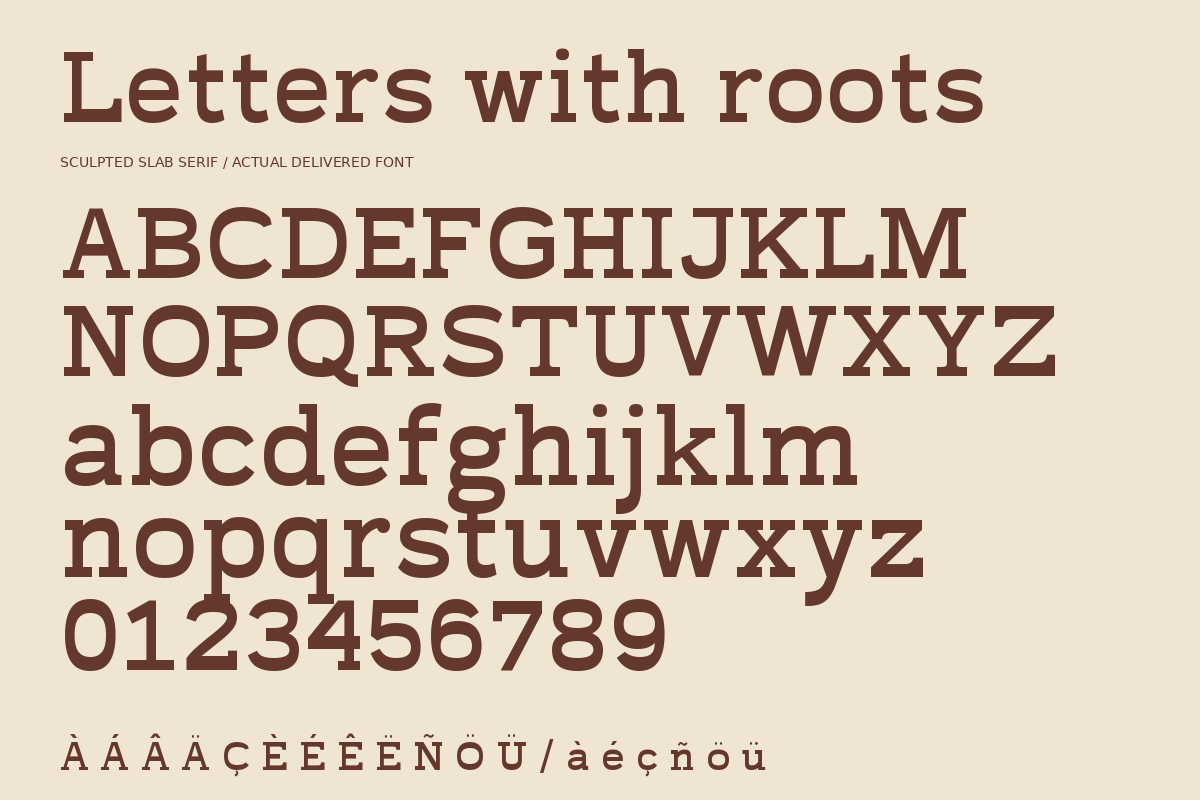 Terra Fable Sculpted Slab Serif, a Slab Serif Font by Colorsfav (Photo 11 of 11)