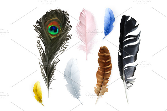 Feathers, vector icon set preview 3