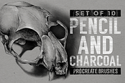 Procreate Brushes Bundle, a Brush Add-On by MiksKS (Thumbnail 47 of 61)