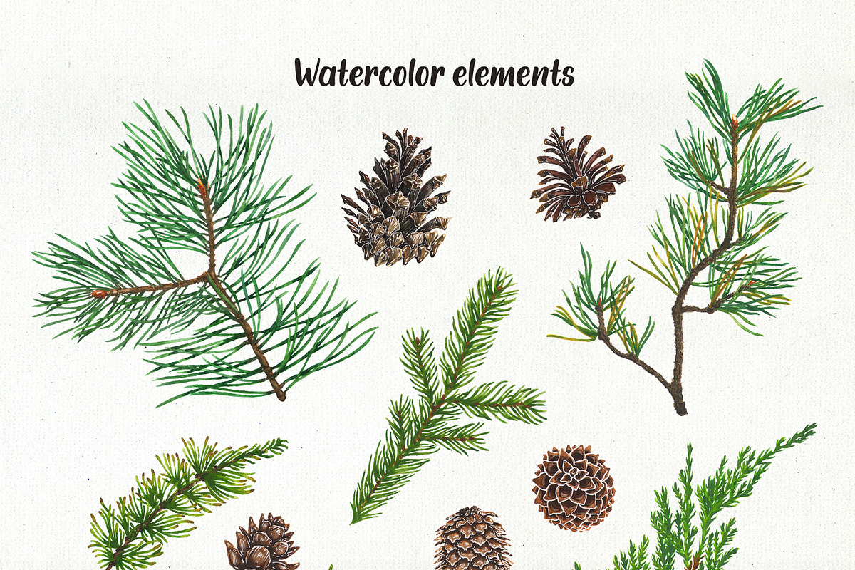 Winter collection, a Decorative Illustration by Margo Miller (Photo 2 of 9)