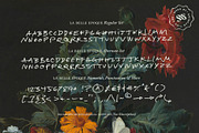 La Belle Epoque Handwritten Font, a Handwritten Font by Sam Parrett (Thumbnail 7 of 7)