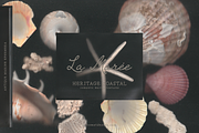 La Maree — Coastal Ephemera, a Background Graphic by nadispasibenko (Thumbnail 9 of 9)
