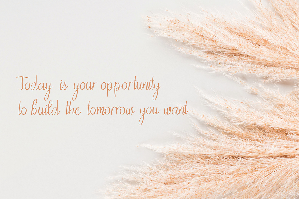 RD Sophie - Script Font, a Script Font by RissDesign (Photo 3 of 5)