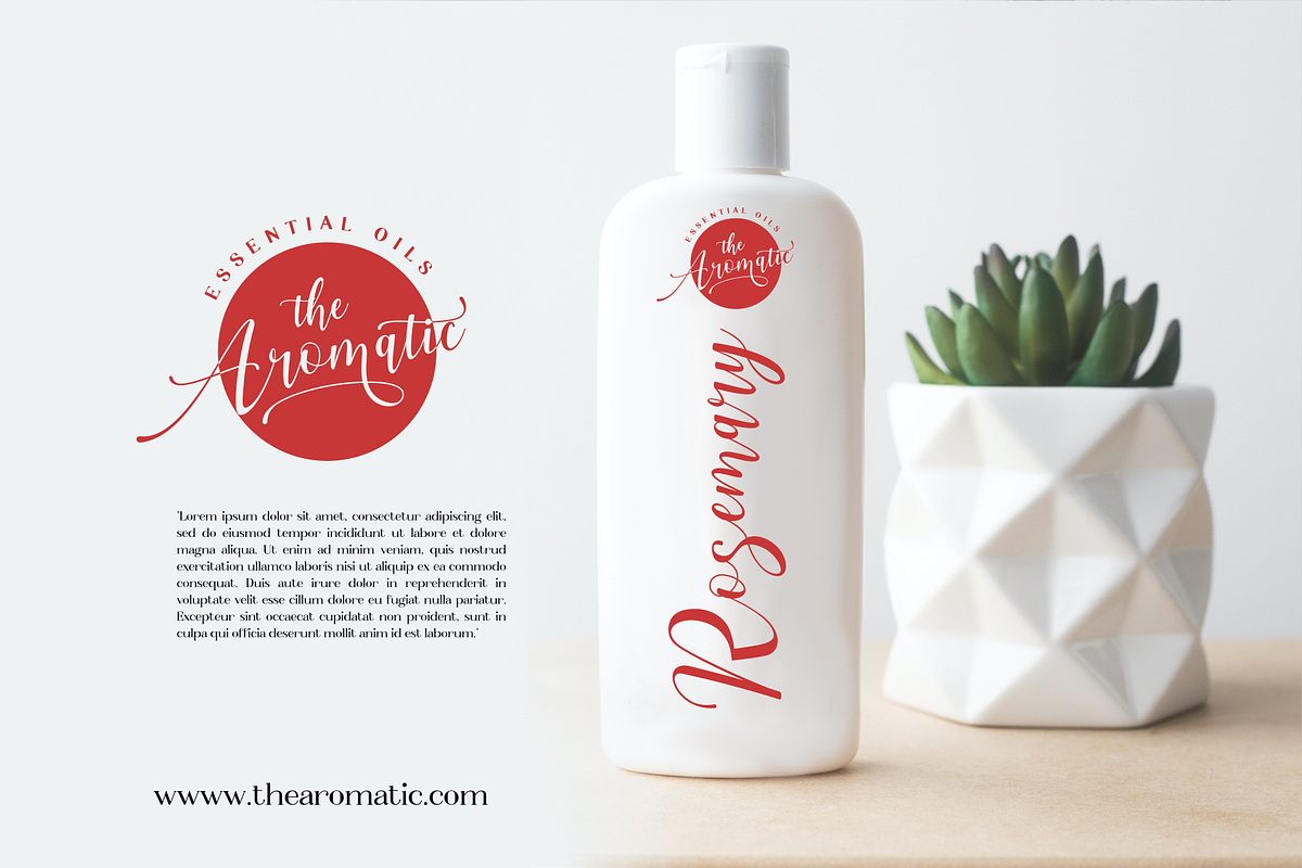 aesthetica - elegant bouncy font, a Script Font by Java pep (Photo 4 of 11)