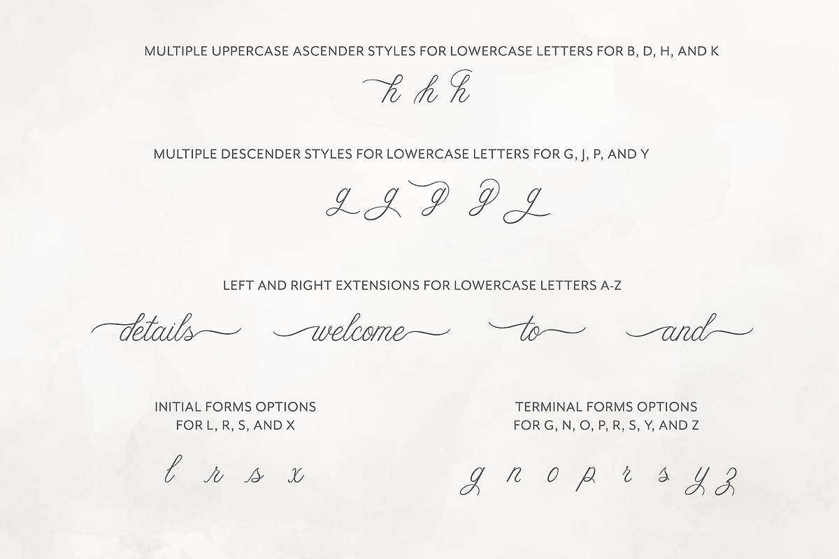 Ellabette Script Font, a Script Font by Scotti Cline Designs (Photo 6 of 8)