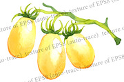 Vector watercolor vegetables, a Food Illustration by Evgeniia Zagreeva (Thumbnail 3 of 3)