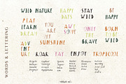 Safari Map Creator. Jungle animals, an Animal Illustration by AlekseliArt (Thumbnail 12 of 14)