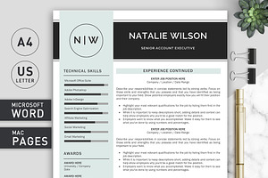 2 Page Resume Template CV Template