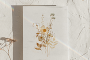 Warm AUTUMN - wildflower collection, a Seasonal Illustration by Youksy (Thumbnail 4 of 17)