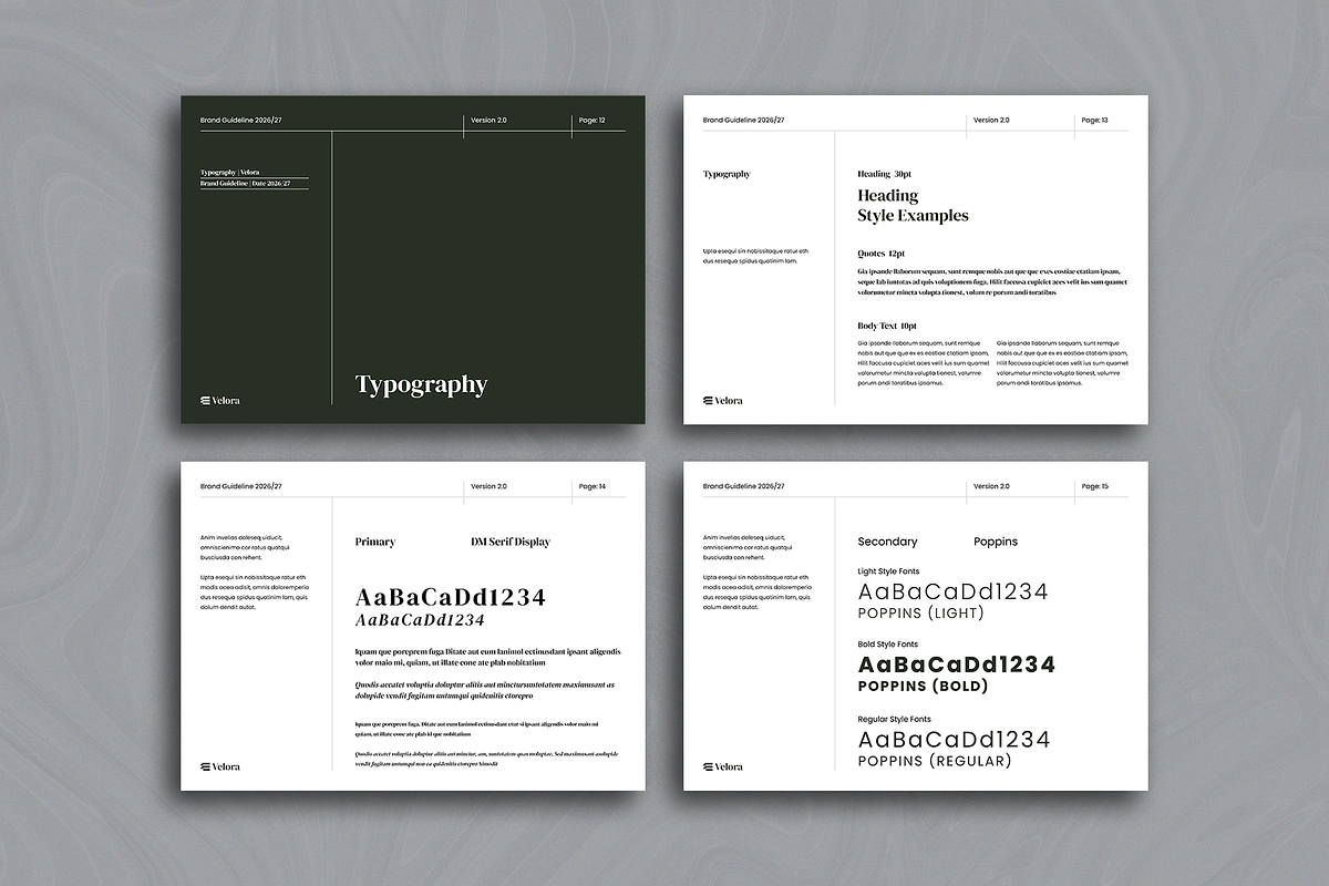 Velora · Brand Guidelines, a Brochure Template by ArtisticLand (Photo 7 of 14)