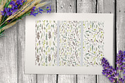 Wild field herbs. Botanical set., a Healthcare Illustration by Alena Kaz (Thumbnail 4 of 12)