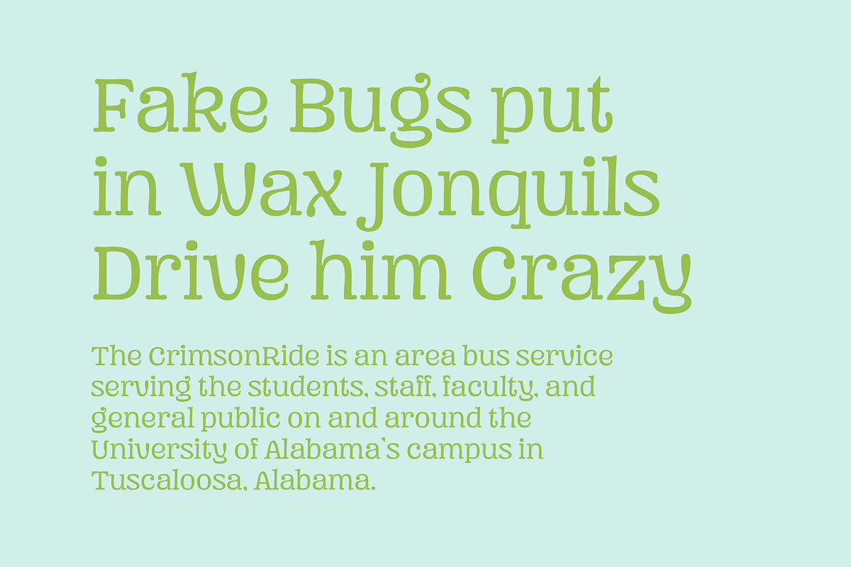 Mad Rascal - Font Family, a Serif Font by Get Studio (Photo 19 of 24)