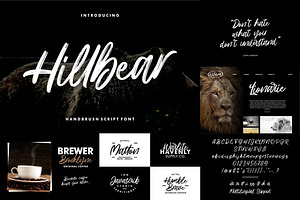 Brush Textured Font Bundle Vol. 4