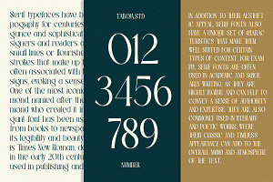 TBJ Palatino Stylish Serif Font