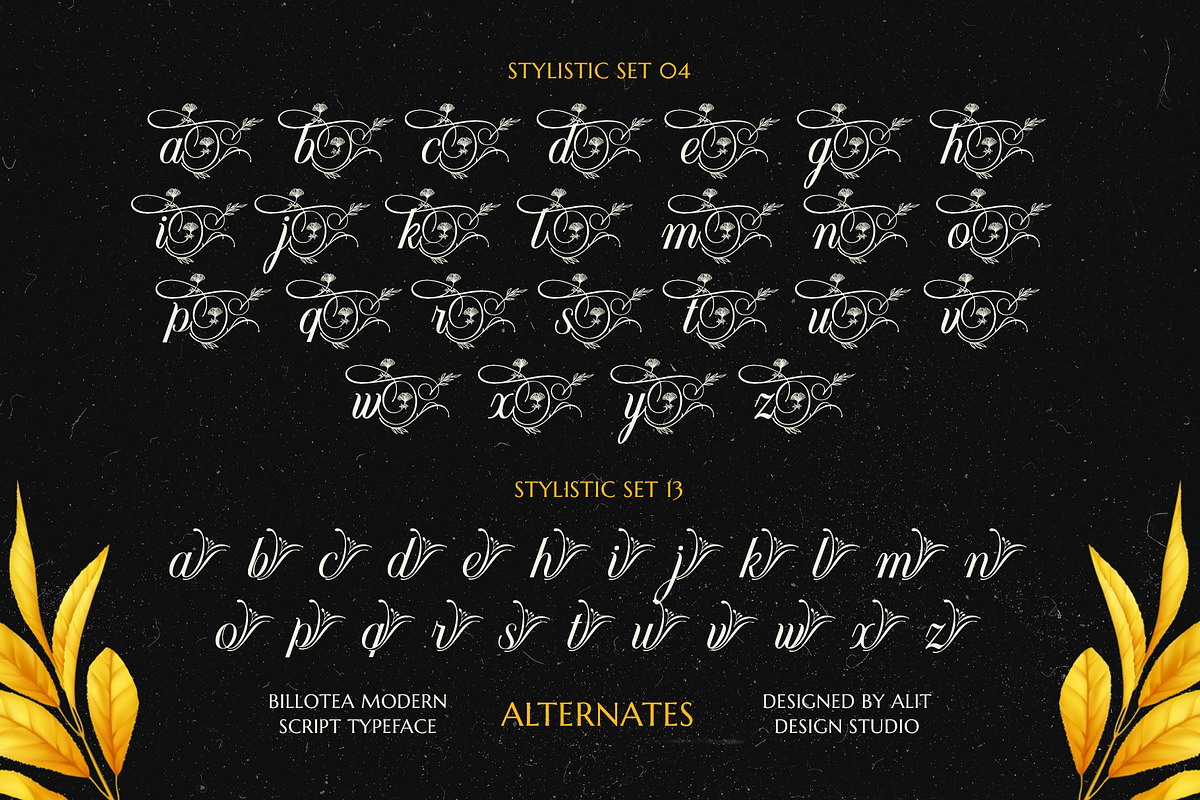 Billotea Typeface, a Script Font by alit design (Photo 8 of 20)