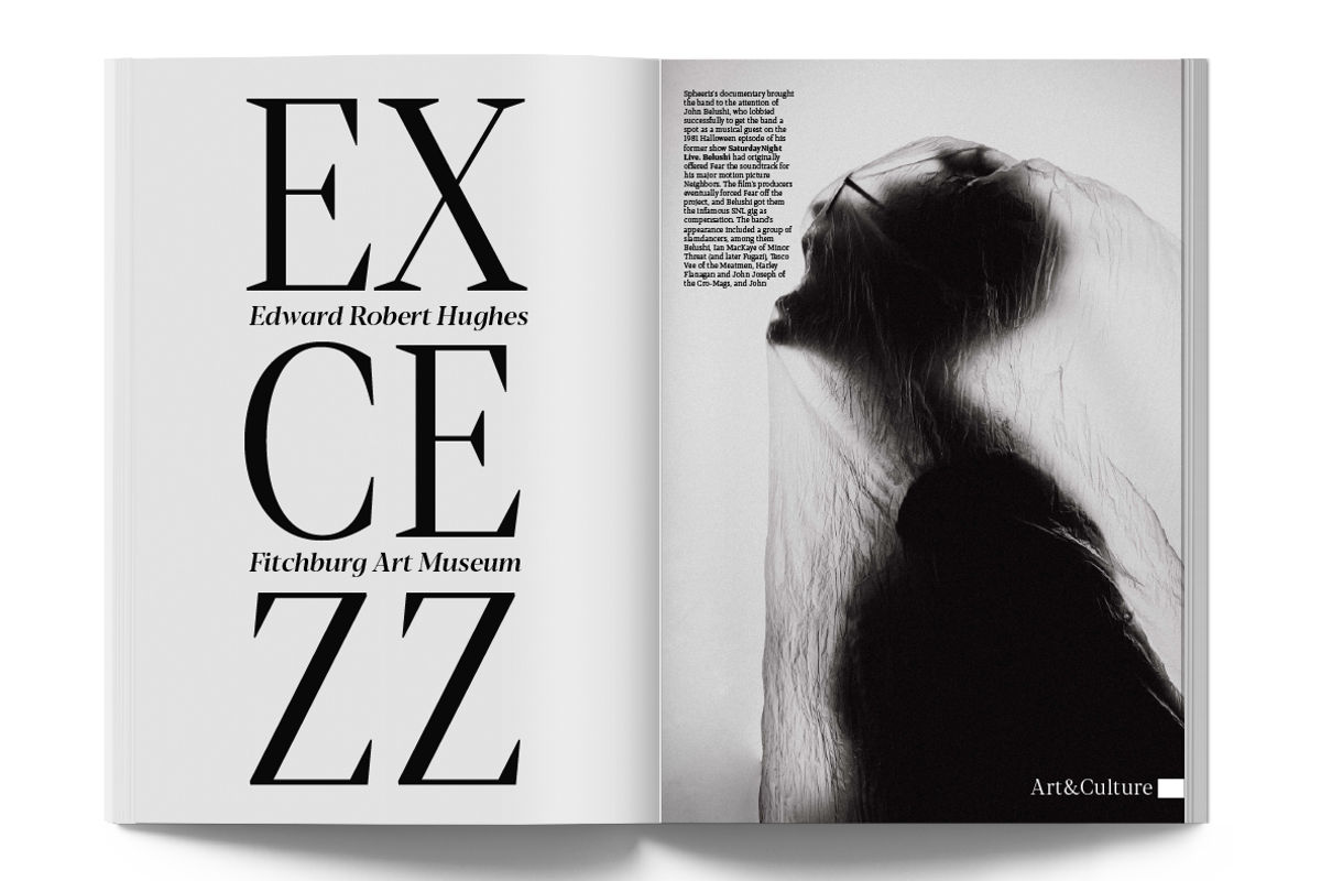 Blacker Pro - 69 fonts, a Serif Font by Zetafonts (Photo 10 of 18)