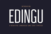 Edingu Sans Serif Font Family, a Sans Serif Font by Creativetacos (Thumbnail 1 of 14)
