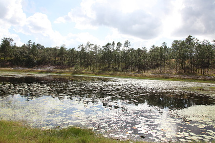 Lake in Gold Head Branch State Park