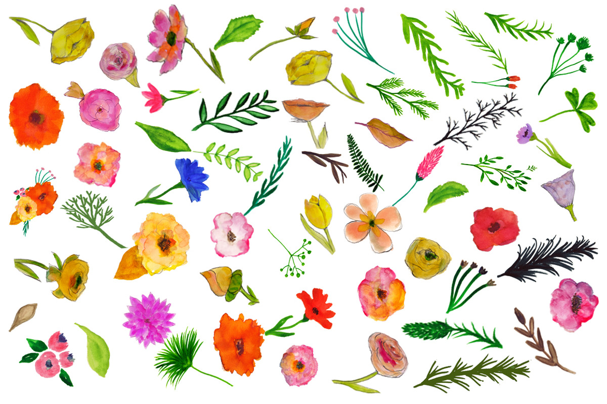 hand painted flower clip set, an Illustration by Sweet Fig (Photo 2 of 2)