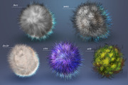 Realistic Fur & Hair Brushes, a Brush Add-On by ZiziMarket (Thumbnail 6 of 7)