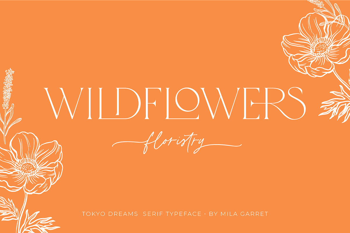 Tokyo Dreams Display Ligature Serif, a Serif Font by Mila Garret (Photo 16 of 28)