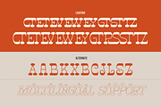 Ngarai Biscet | Western Slab Serif, a Slab Serif Font by Denustudios (Thumbnail 15 of 15)