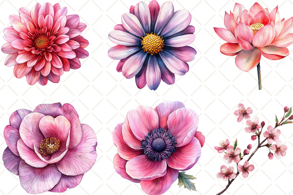 Pink Flowers Watercolor Clipart, an Illustration by Black Bird Studio (Photo 6 of 6)