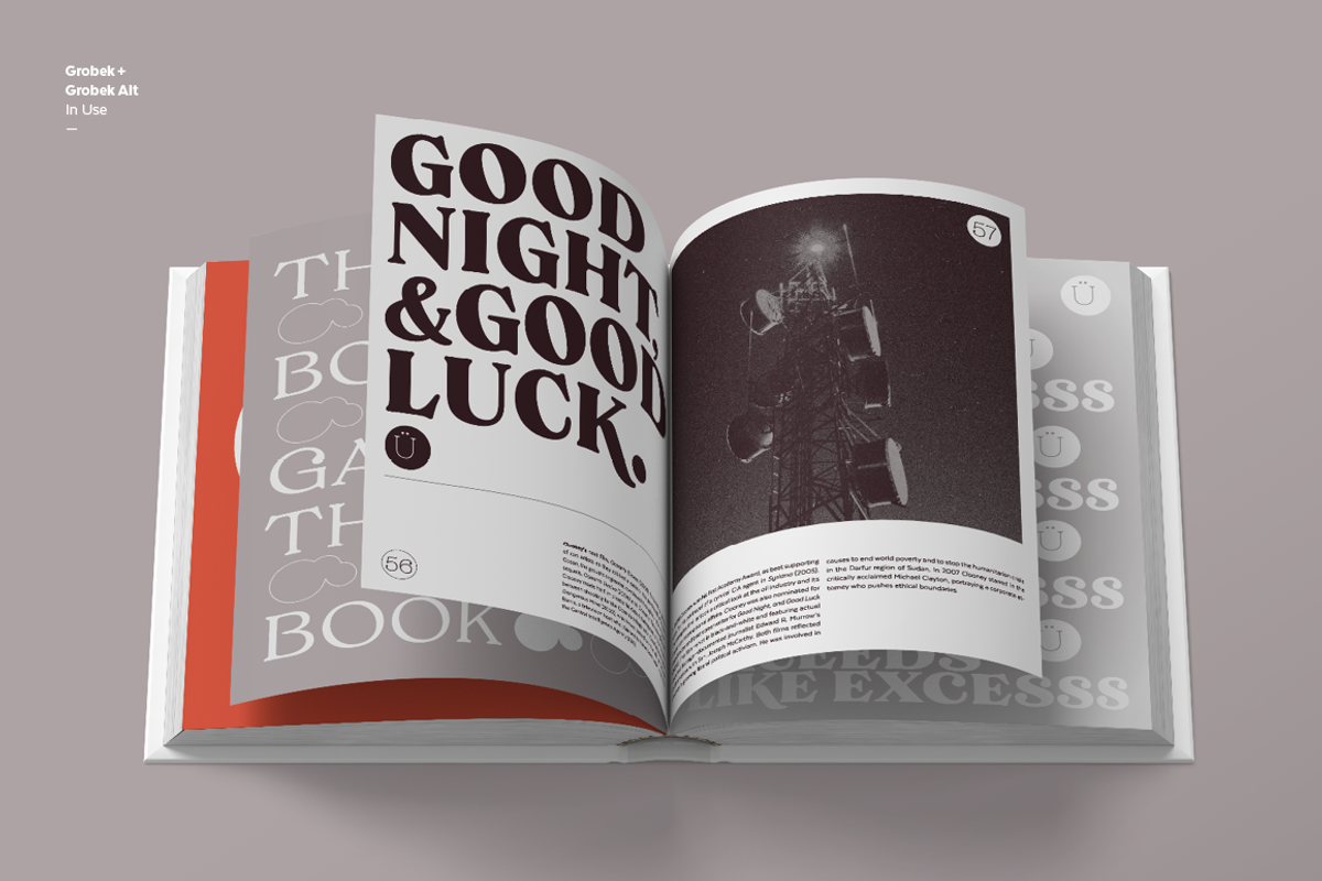 Grobek, a Serif Font by Latinotype (Photo 8 of 15)