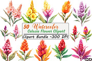 Celosia Flower Clipart, an Illustration by DreamCafeArt (Thumbnail 1 of 9)