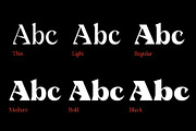Kenza Font Family, a Serif Font by Alex_Camacho_Studio (Thumbnail 6 of 9)