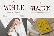 The Ultimate Branding Collection, a Serif Font by saemoon creative (Thumbnail 13 of 13)