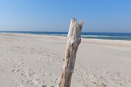 Baltic Sea coast, mediterranean, Lit, a Nature Photo by verkelis