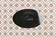 4 in 1: Cottagecore Print Bundle, a Background Graphic by Lidberia (Thumbnail 16 of 17)