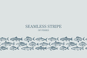 Hand drawn vectors of saltwater fish, an Animal Illustration by Naty Art (Thumbnail 2 of 11)