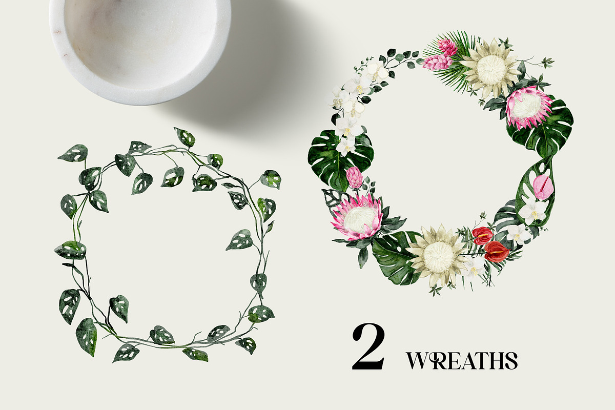 Protea - tropical collection, a Texture Illustration by Backyard Rose (Photo 14 of 22)