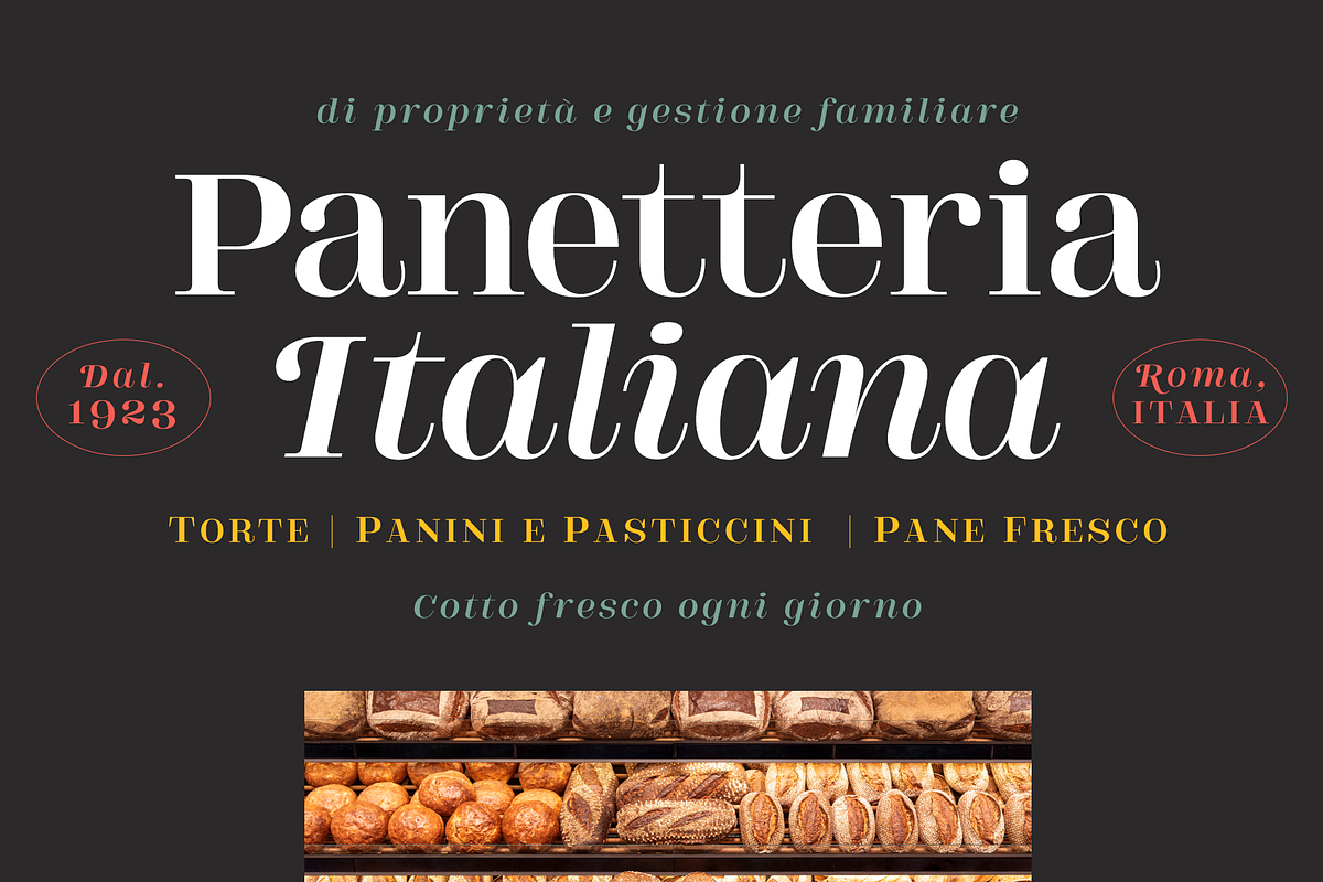 DT Augustina Serif Display, a Serif Font by Deveze Type Foundry (Photo 8 of 12)