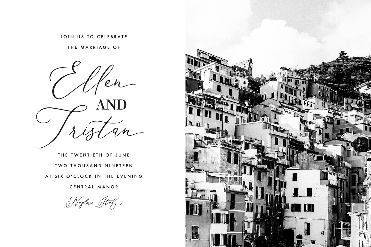Delicate Elegant Script & Ornaments preview 6