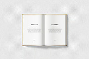 Customizable Book Mockup, an Advertising Mockup by zpackcreative (Thumbnail 3 of 4)
