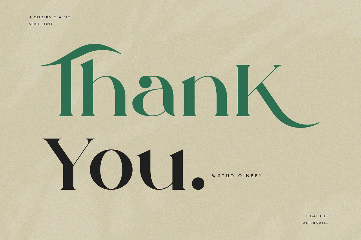 Qamille - Modern Classic Serif Font, a Serif Font by StudioinBry (Photo 13 of 13)