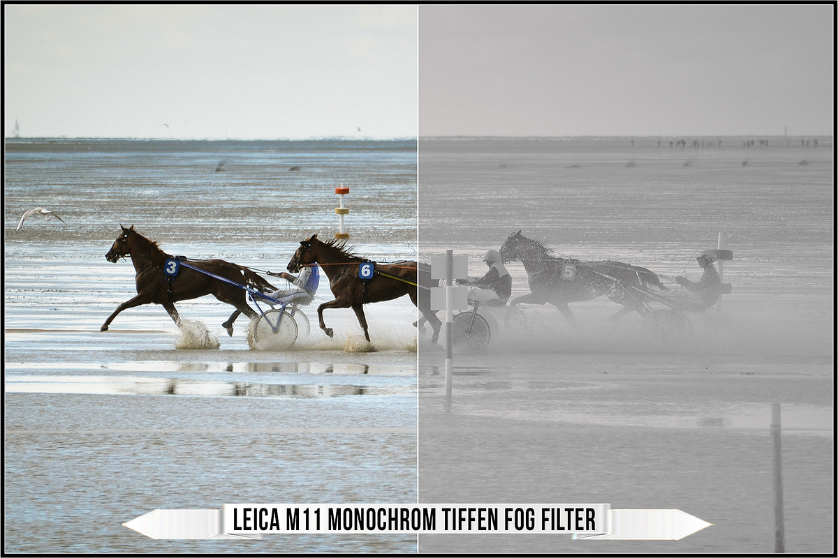 Leica Monochrom Profiles, a Plug-in Add-On by Raztrend (Photo 30 of 31)