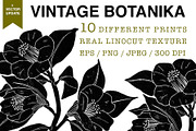 Vintage botanica, an Object Graphic by Mii Lab (Thumbnail 1 of 8)