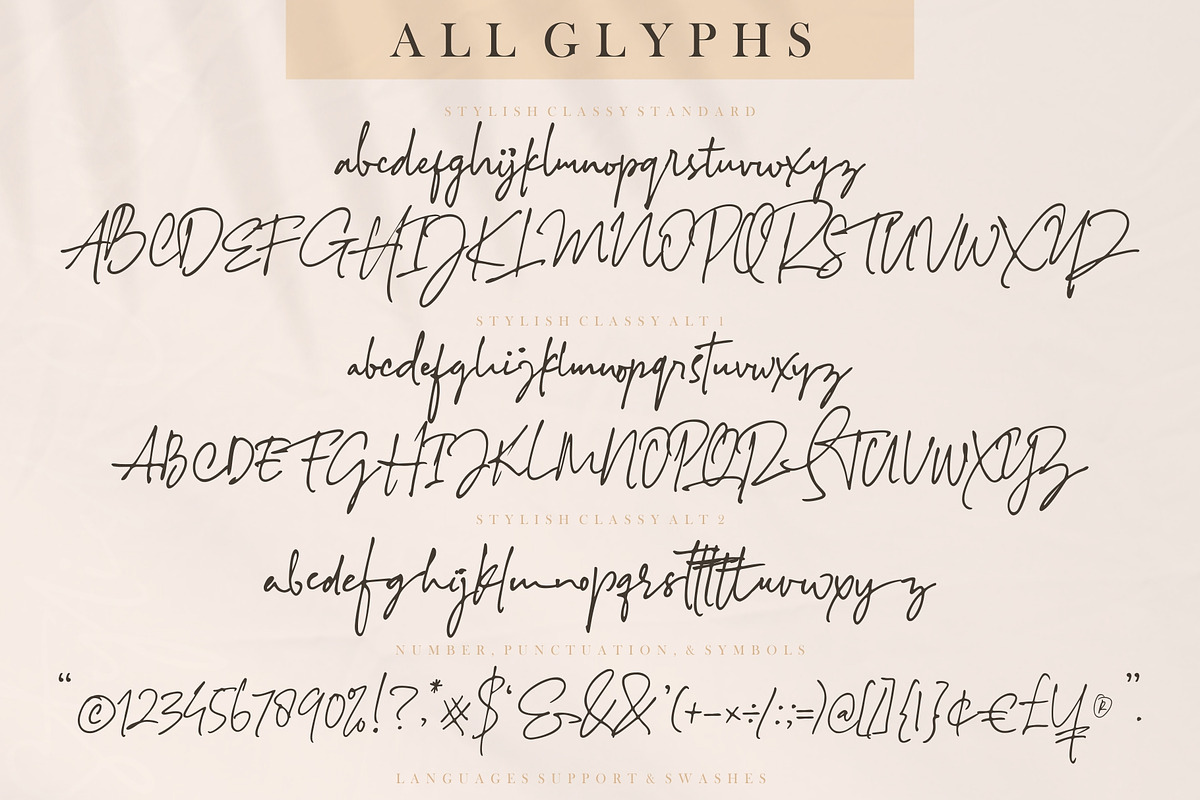 SALE! Stylish Classy (2 Fonts), a Script Font by azetypestudios.com (Photo 17 of 18)