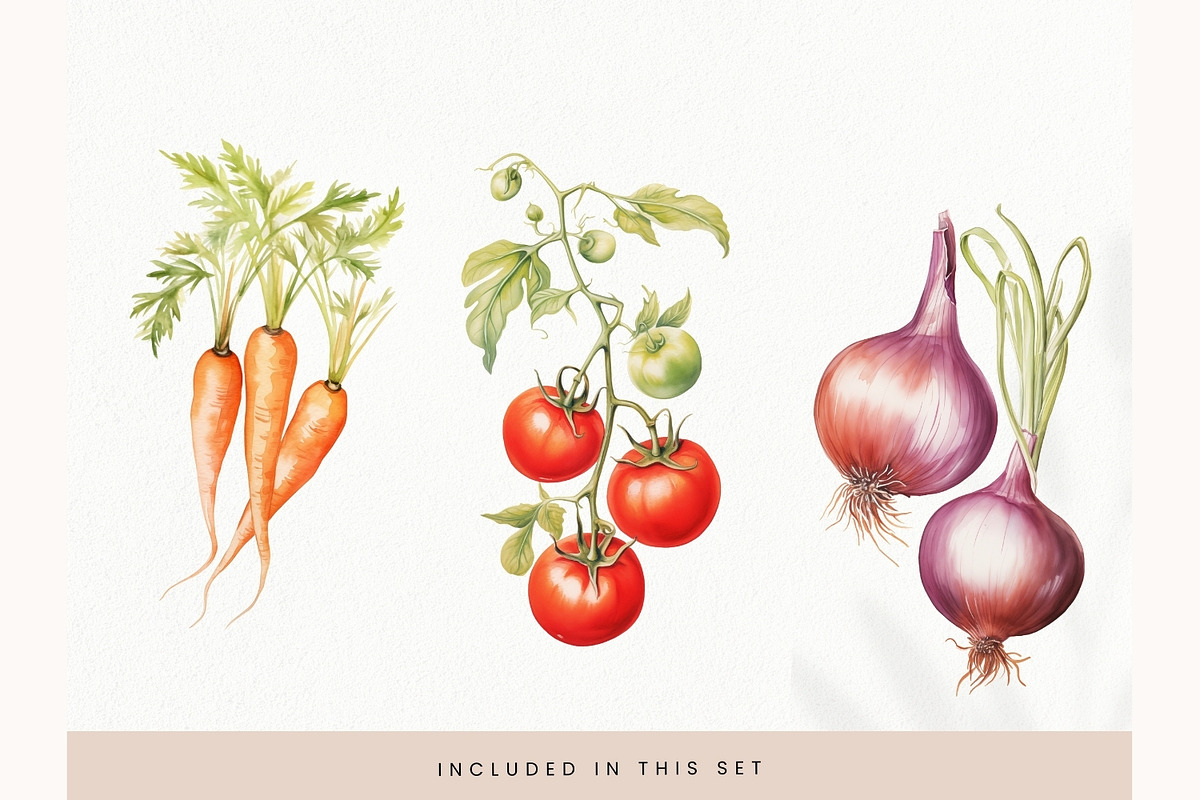 Watercolor Vegetables Clipart, Fresh, a Decorative Illustration by illuztrate (Photo 7 of 9)